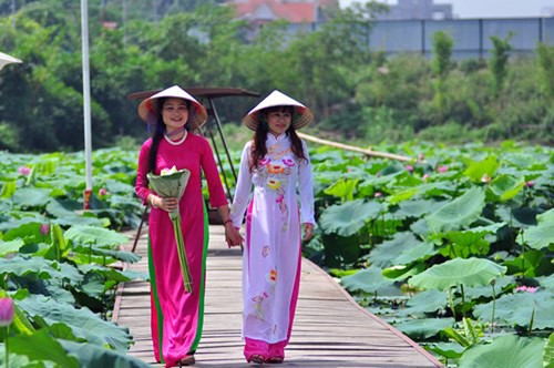 Temporada de flores de loto en Hanoi - ảnh 3